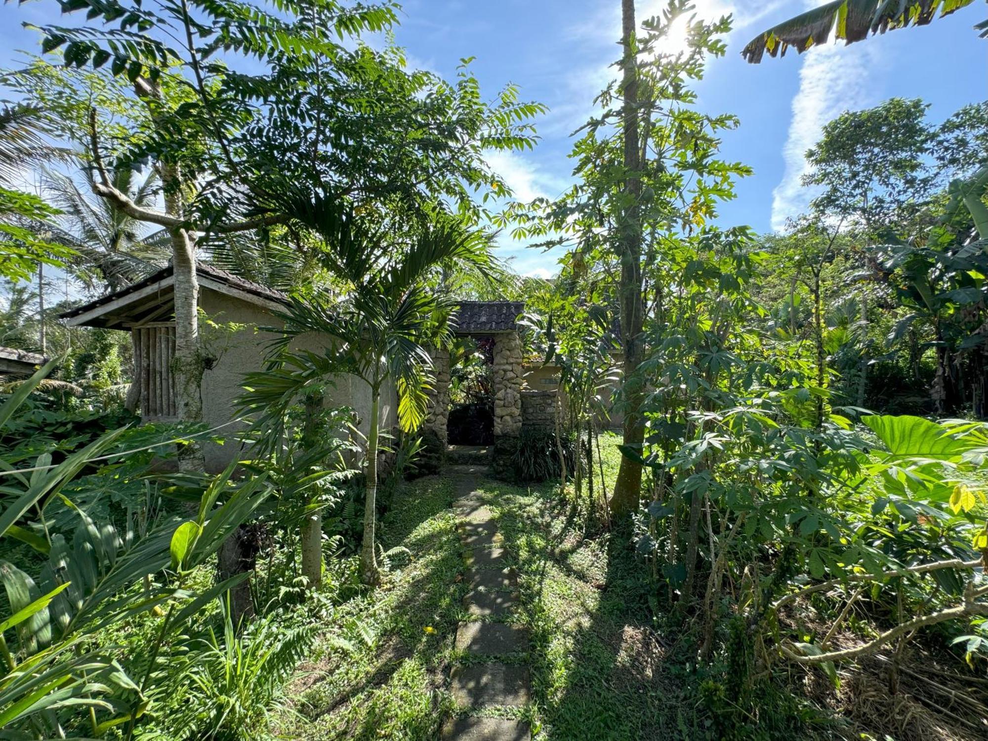 Dewa Jati Cottages Payangan Exterior foto
